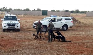 unidad canina preparándose para una demostración