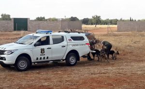 unidad canina preparándose para una demostración